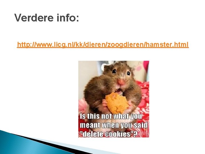 Verdere info: http: //www. licg. nl/kk/dieren/zoogdieren/hamster. html 