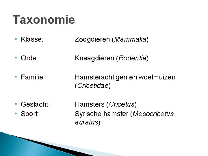 Taxonomie Klasse: Zoogdieren (Mammalia) Orde: Knaagdieren (Rodentia) Familie: Hamsterachtigen en woelmuizen (Cricetidae) Geslacht: Soort: