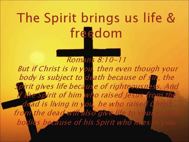 The Spirit brings us life & freedom Romans 8: 10 -11 But if Christ