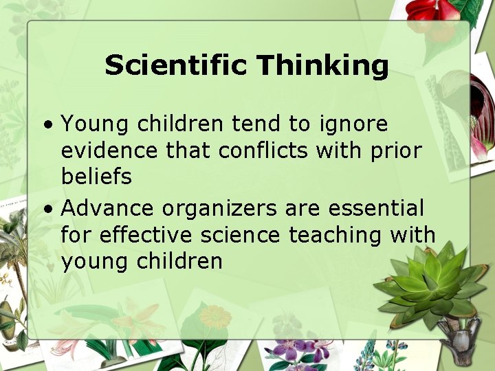 Scientific Thinking • Young children tend to ignore evidence that conflicts with prior beliefs