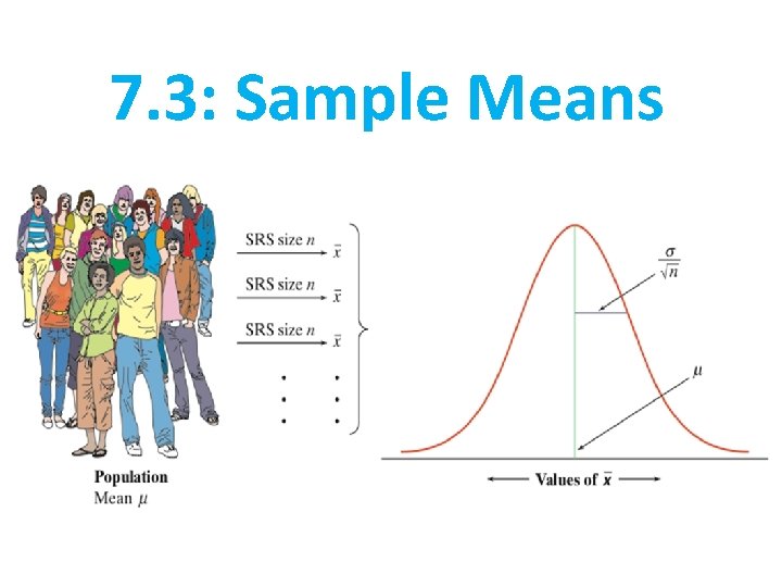 7. 3: Sample Means 