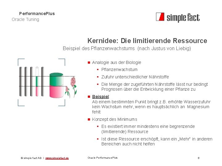 Performance. Plus Oracle Tuning Kernidee: Die limitierende Ressource Beispiel des Pflanzenwachstums (nach Justus von