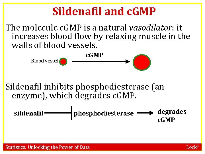 Sildenafil and c. GMP The molecule c. GMP is a natural vasodilator: it increases