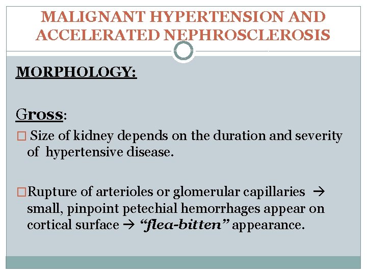 hypertensive nephropathy kidney size pilates és hipertónia