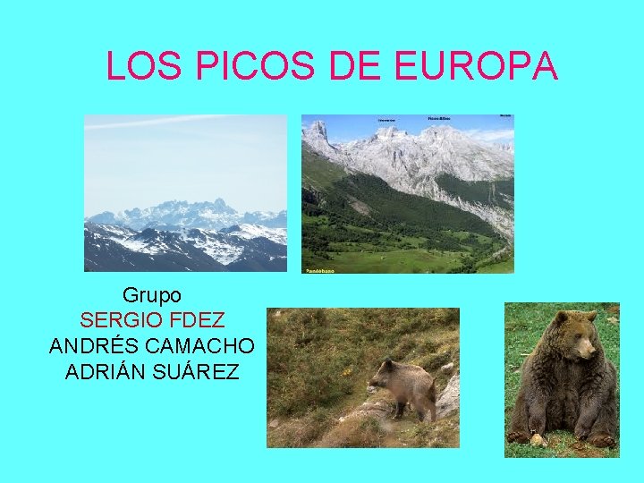 LOS PICOS DE EUROPA Grupo SERGIO FDEZ ANDRÉS CAMACHO ADRIÁN SUÁREZ 