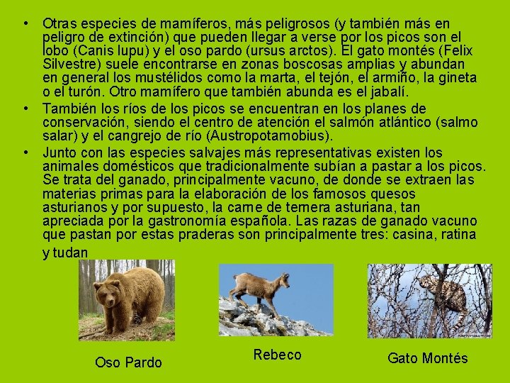  • Otras especies de mamíferos, más peligrosos (y también más en peligro de