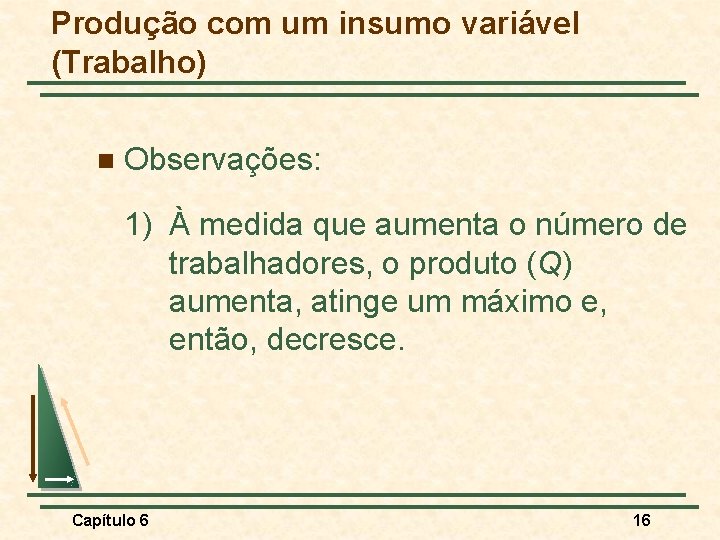Produção com um insumo variável (Trabalho) n Observações: 1) À medida que aumenta o