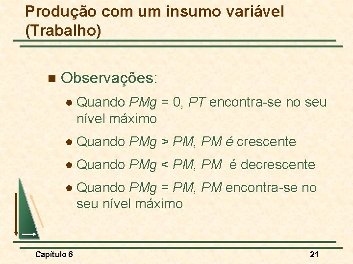 Produção com um insumo variável (Trabalho) n Observações: l Quando PMg = 0, PT