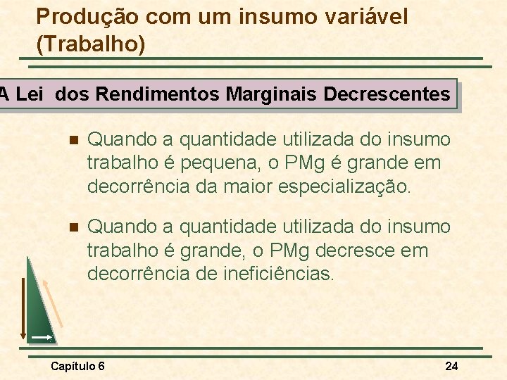 Produção com um insumo variável (Trabalho) A Lei dos Rendimentos Marginais Decrescentes n Quando