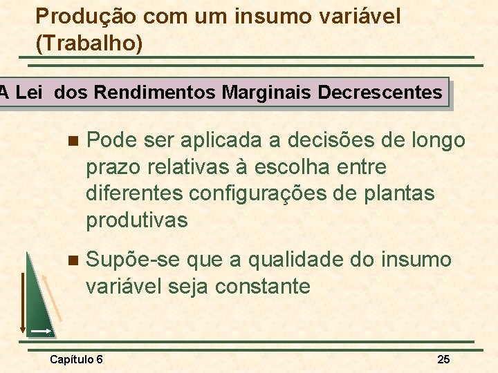 Produção com um insumo variável (Trabalho) A Lei dos Rendimentos Marginais Decrescentes n Pode