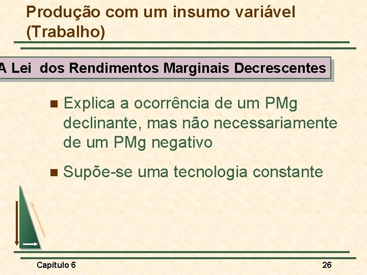 Produção com um insumo variável (Trabalho) A Lei dos Rendimentos Marginais Decrescentes n Explica