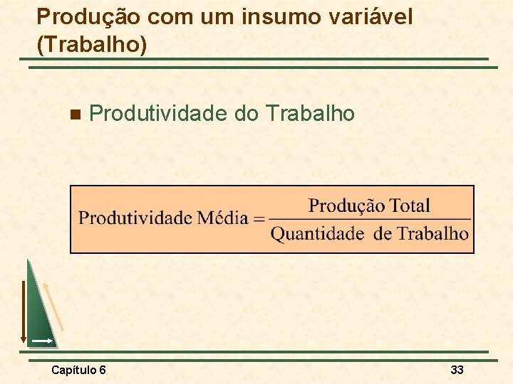 Produção com um insumo variável (Trabalho) n Produtividade do Trabalho Capítulo 6 33 