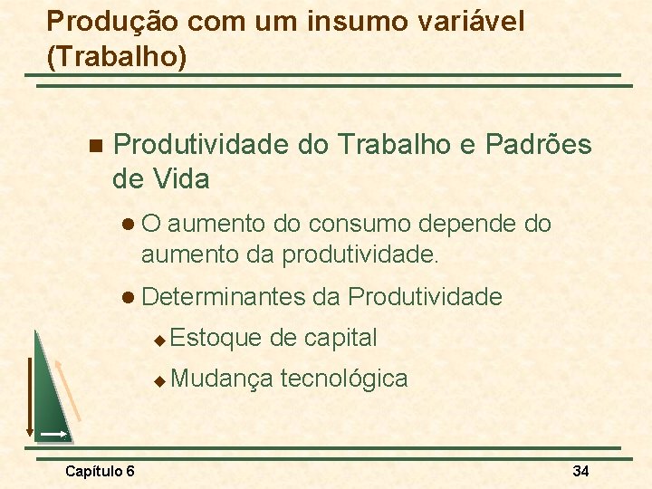 Produção com um insumo variável (Trabalho) n Produtividade do Trabalho e Padrões de Vida