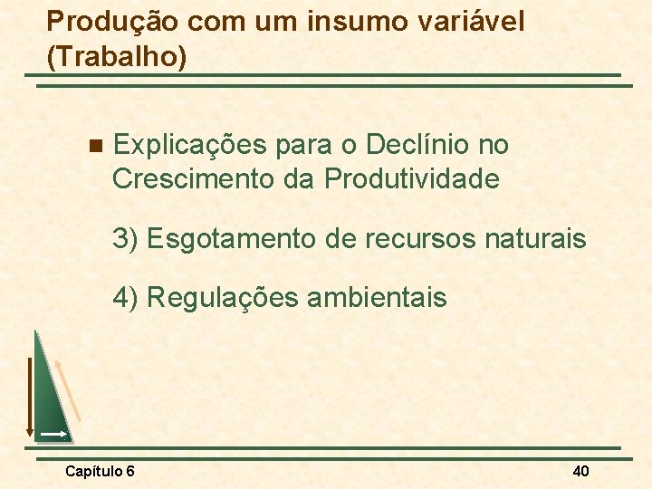 Produção com um insumo variável (Trabalho) n Explicações para o Declínio no Crescimento da