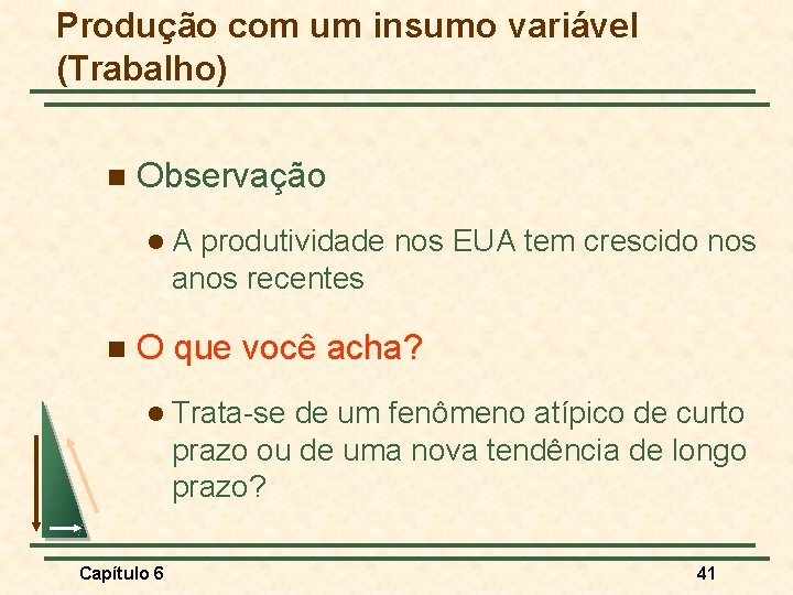 Produção com um insumo variável (Trabalho) n Observação l. A produtividade nos EUA tem