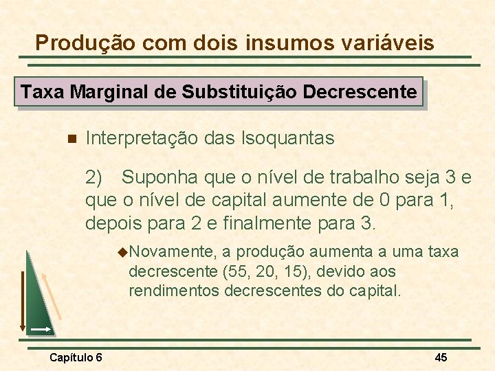 Produção com dois insumos variáveis Taxa Marginal de Substituição Decrescente n Interpretação das Isoquantas