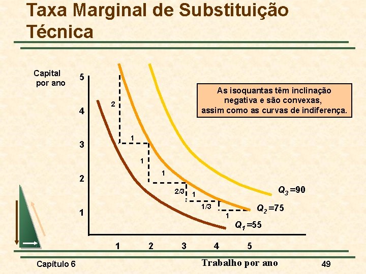 Taxa Marginal de Substituição Técnica Capital por ano 5 4 As isoquantas têm inclinação