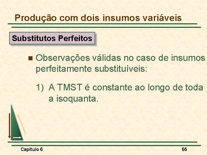 Produção com dois insumos variáveis Substitutos Perfeitos n Observações válidas no caso de insumos