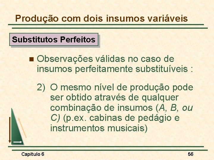 Produção com dois insumos variáveis Substitutos Perfeitos n Observações válidas no caso de insumos