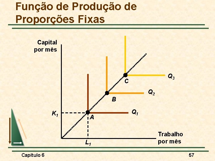 Função de Produção de Proporções Fixas Capital por mês Q 3 C Q 2