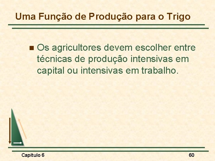 Uma Função de Produção para o Trigo n Os agricultores devem escolher entre técnicas