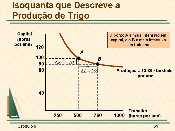 Isoquanta que Descreve a Produção de Trigo Capital (horas por ano) O ponto A