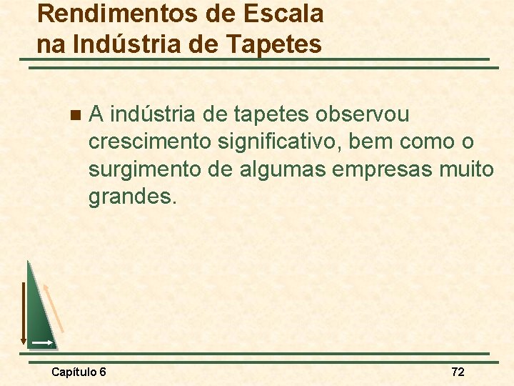 Rendimentos de Escala na Indústria de Tapetes n A indústria de tapetes observou crescimento