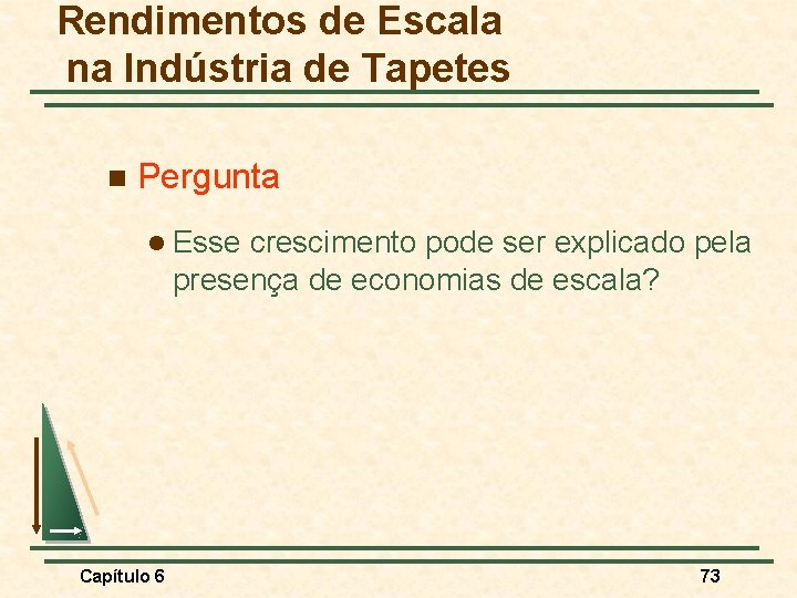 Rendimentos de Escala na Indústria de Tapetes n Pergunta l Esse crescimento pode ser