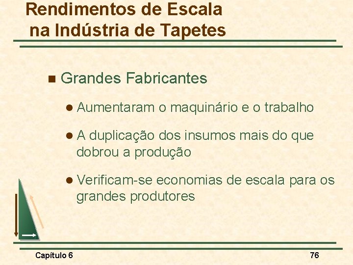 Rendimentos de Escala na Indústria de Tapetes n Grandes Fabricantes l Aumentaram o maquinário