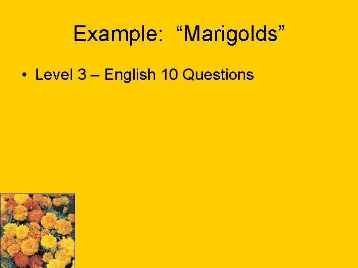 Example: “Marigolds” • Level 3 – English 10 Questions 
