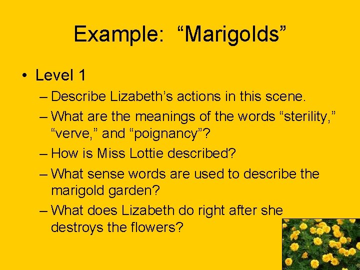 Example: “Marigolds” • Level 1 – Describe Lizabeth’s actions in this scene. – What