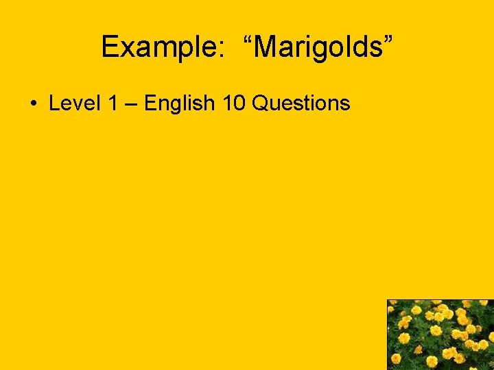 Example: “Marigolds” • Level 1 – English 10 Questions 