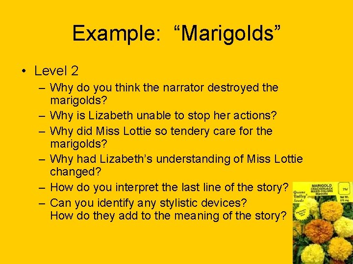 Example: “Marigolds” • Level 2 – Why do you think the narrator destroyed the