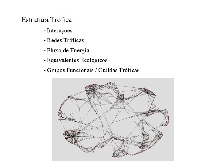 Estrutura Trófica - Interações - Redes Tróficas - Fluxo de Energia - Equivalentes Ecológicos