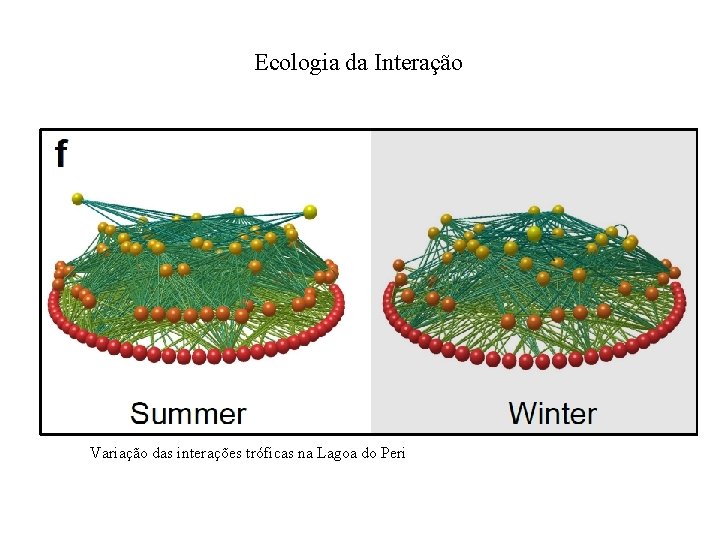 Ecologia da Interação Variação das interações tróficas na Lagoa do Peri 