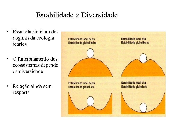 Estabilidade x Diversidade • Essa relação é um dos dogmas da ecologia teórica •