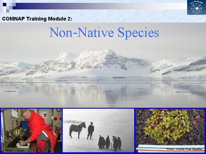 COMNAP Training Module 2: Non-Native Species Photo: L. Frost Photo: Comité Polar Español 