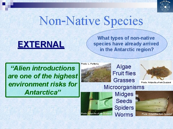 Non-Native Species EXTERNAL “Alien introductions are one of the highest environment risks for Antarctica”