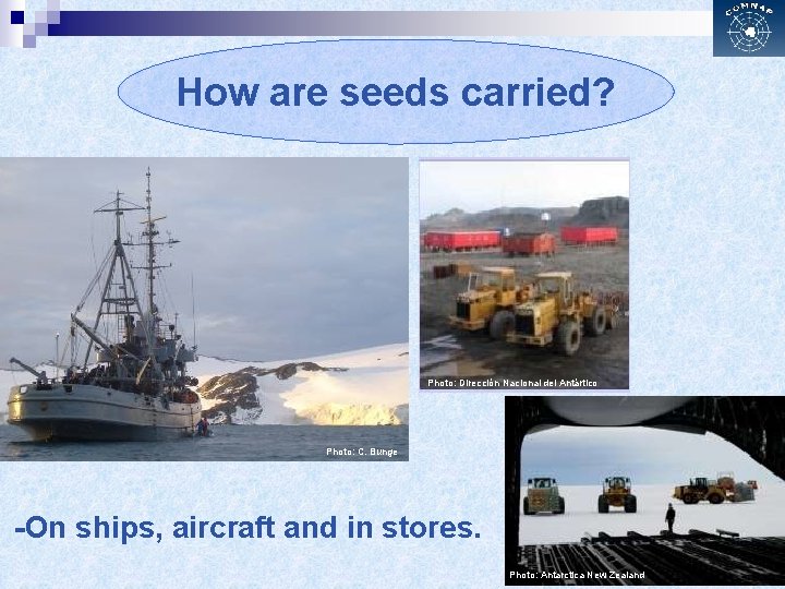 How are seeds carried? Photo: Dirección Nacional del Antártico Photo: C. Bunge -On ships,