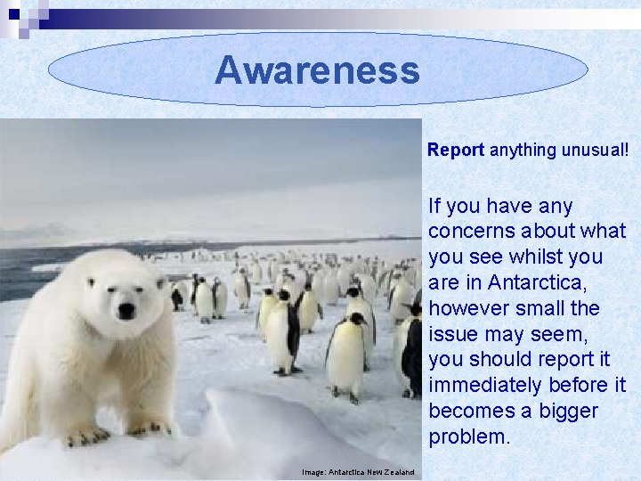 Awareness Report anything unusual! If you have any concerns about what you see whilst
