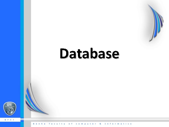 Database 