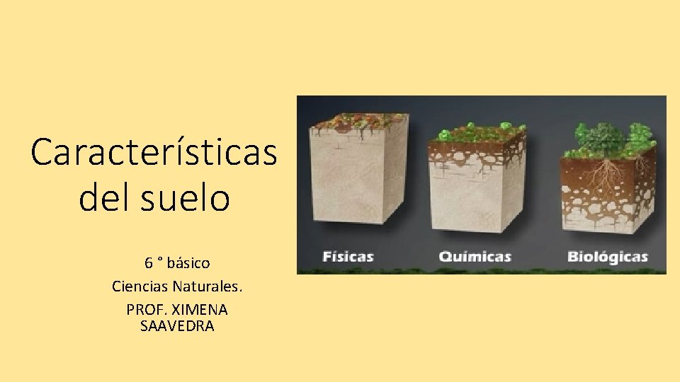 Características del suelo 6 ° básico Ciencias Naturales. PROF. XIMENA SAAVEDRA 