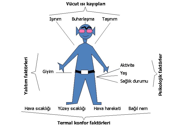 Vücut ısı kayıpları Buharlaşma Taşınım Aktivite Giyim Hava sıcaklığı Yaş Sağlık durumu Yüzey sıcaklığı