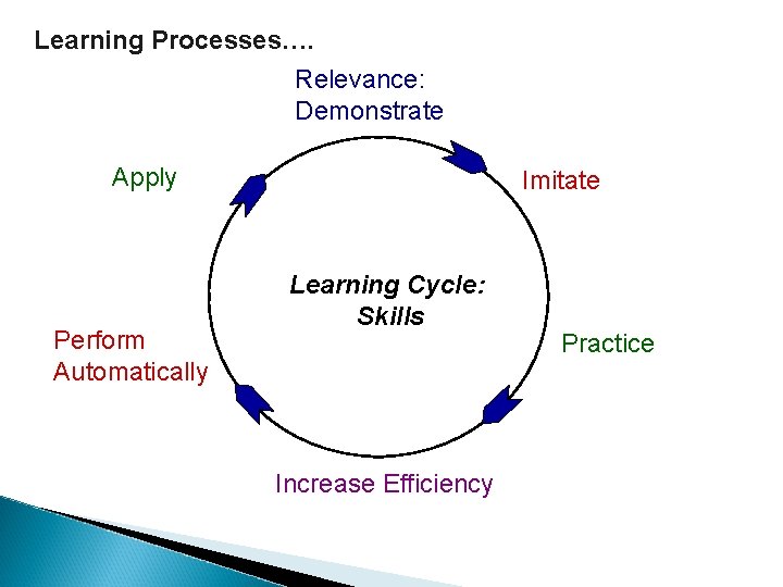 Learning Processes…. Relevance: Demonstrate Apply Perform Automatically Imitate Learning Cycle: Skills Increase Efficiency Practice
