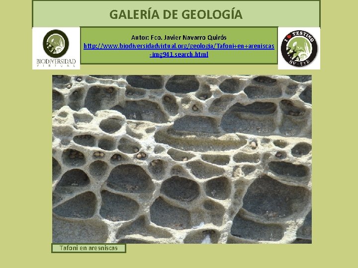 GALERÍA DE GEOLOGÍA Autor: Fco. Javier Navarro Quirós http: //www. biodiversidadvirtual. org/geologia/Tafoni+en+areniscas -img 941.