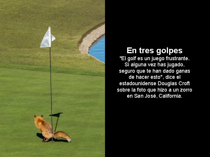 En tres golpes "El golf es un juego frustrante. Si alguna vez has jugado,