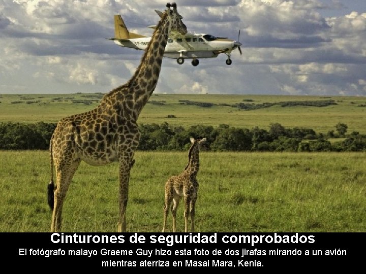 Cinturones de seguridad comprobados El fotógrafo malayo Graeme Guy hizo esta foto de dos