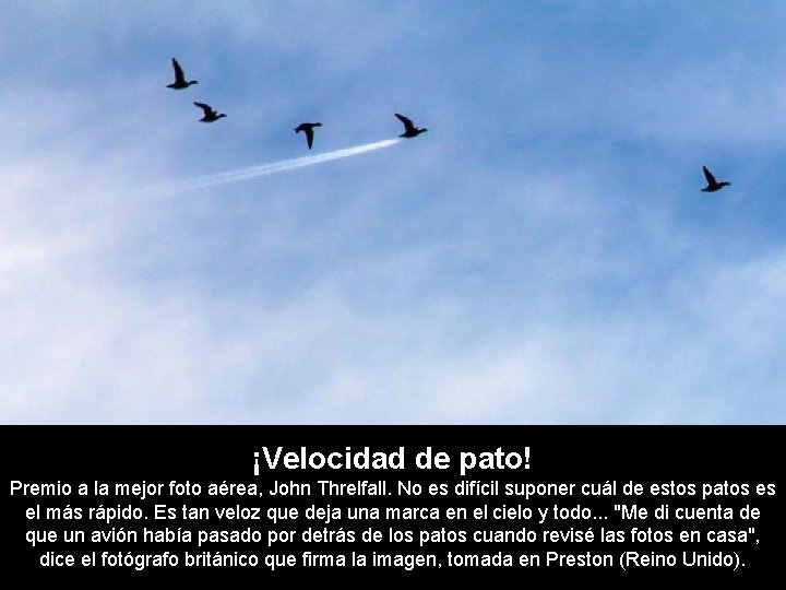 ¡Velocidad de pato! Premio a la mejor foto aérea, John Threlfall. No es difícil