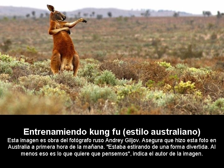 Entrenamiendo kung fu (estilo australiano) Esta imagen es obra del fotógrafo ruso Andrey Giljov.