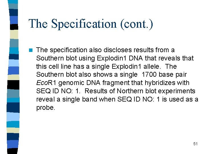 The Specification (cont. ) n The specification also discloses results from a Southern blot